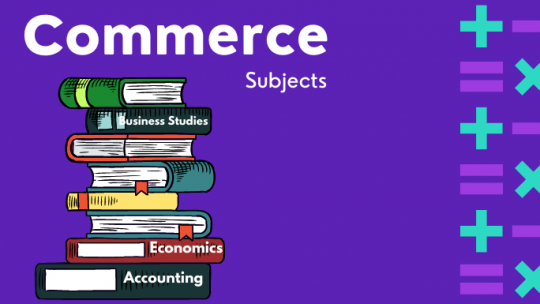 Commerce subjects in Class 11
