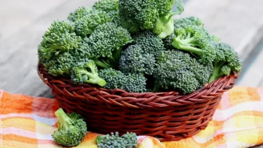 Broccoli Has A Wide Range Of Health Benefits